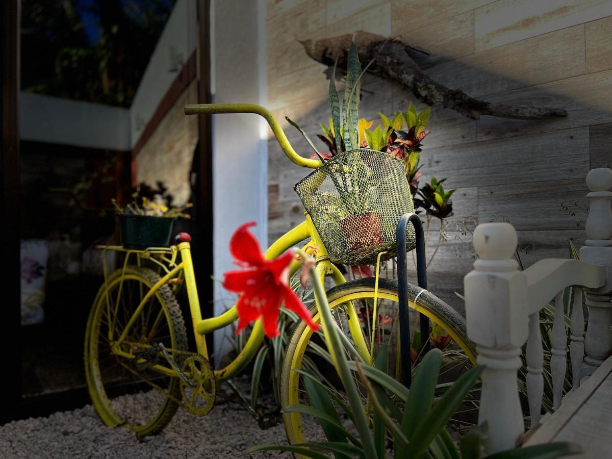 Chillout House Bed & Breakfast Monteverde Exterior photo