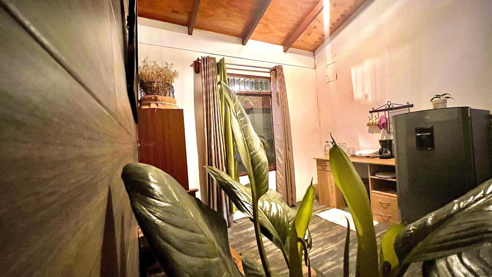 Chillout House Bed & Breakfast Monteverde Exterior photo